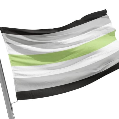 Agender Flag