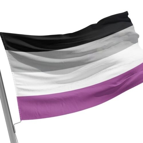 Asexual Flag