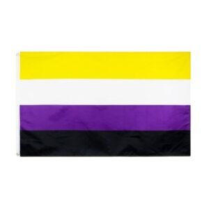 Non Binary Flag