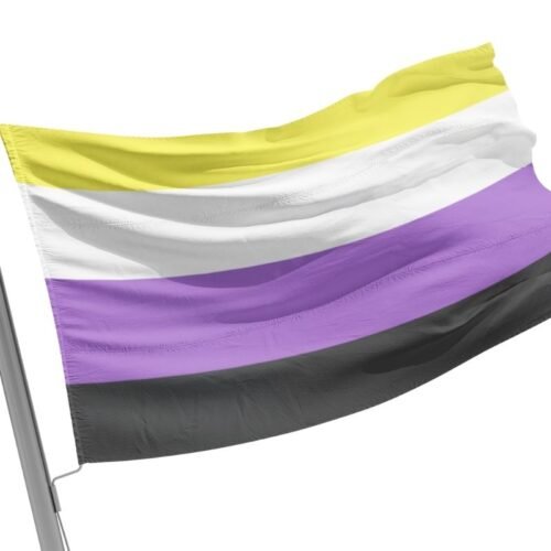 Non Binary Flag