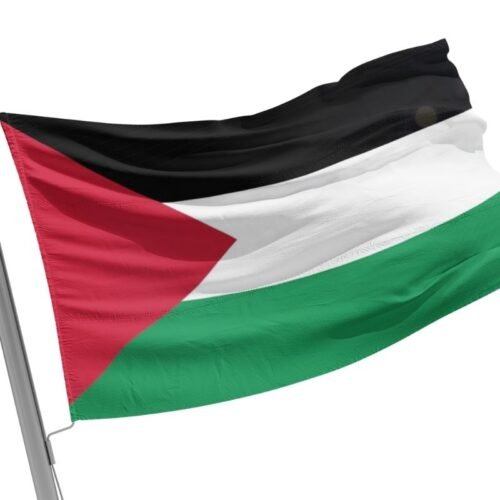 Palestine Flag