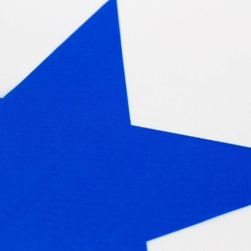 Panama Flag