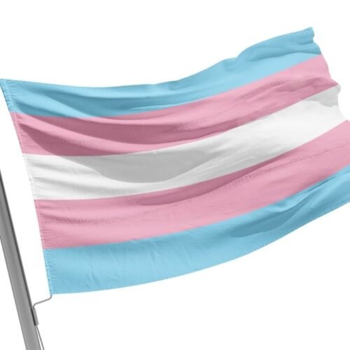 Transgender Flag